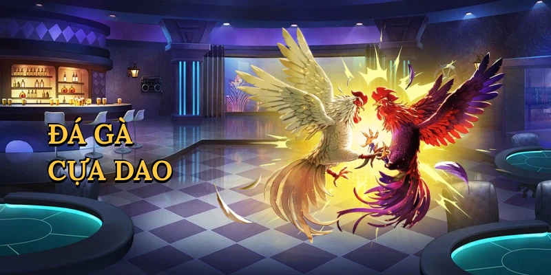 Đá gà cựa dao