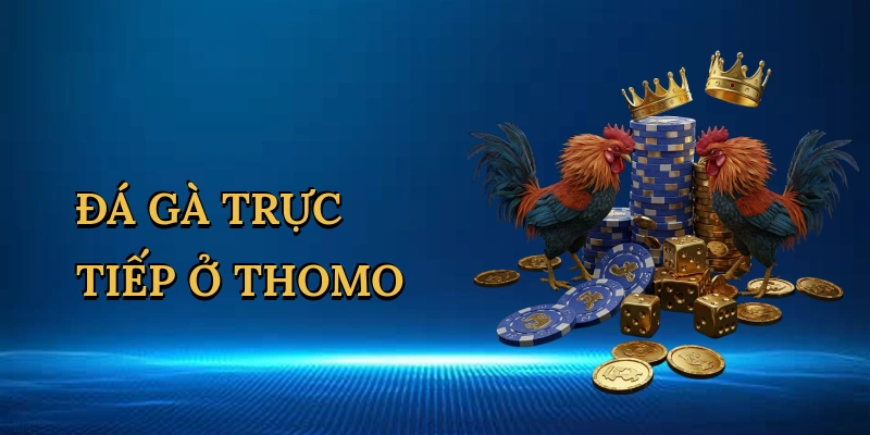 da-ga-truc-tiep-o-thomo-1