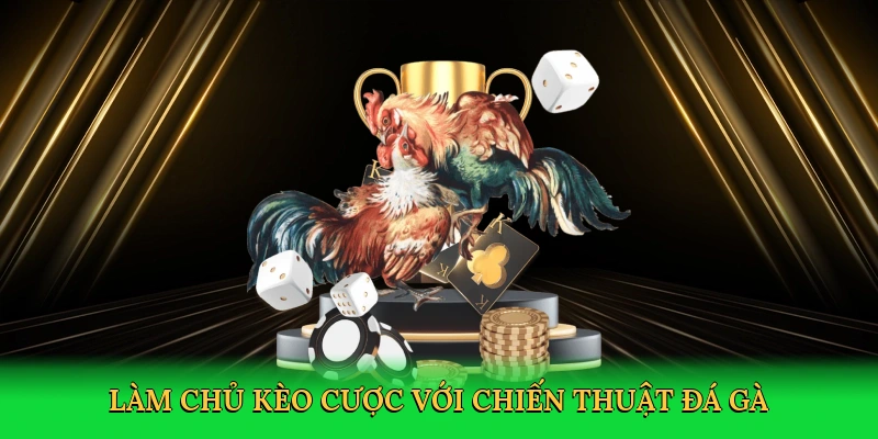 Làm chủ kèo cược với chiến thuật đá gà