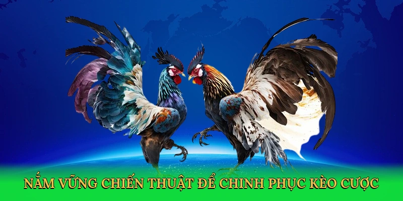 nam-vung-chien-thuat-de-chinh-phuc-keo-cuoc-4