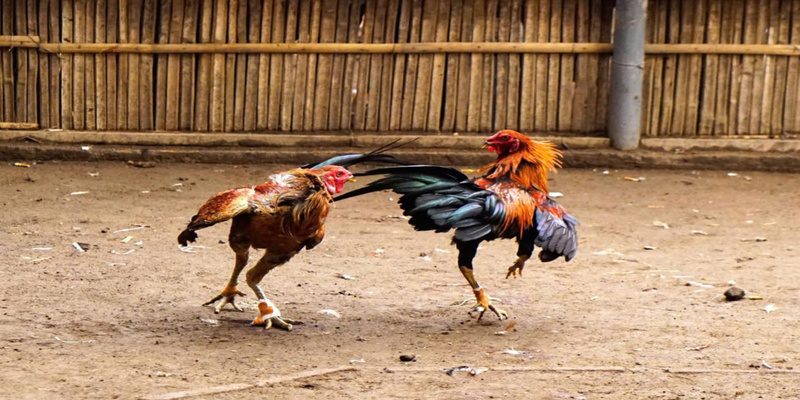 Nhận diện cần chuyển biến