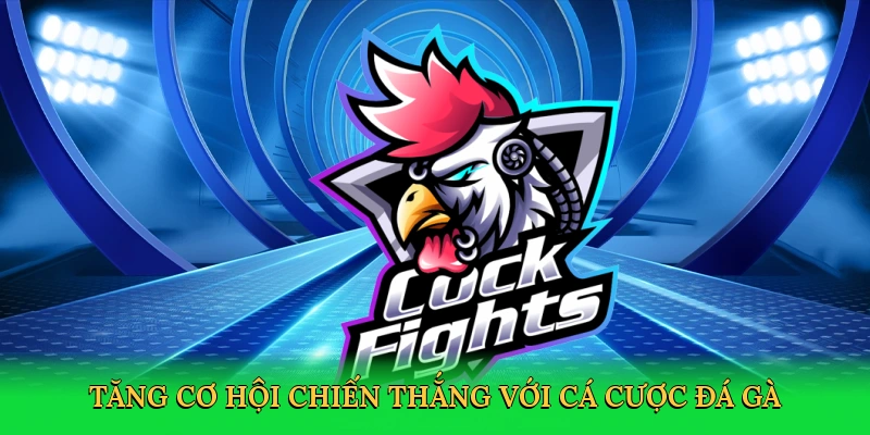 Tăng cơ hội chiến thắng với cá cược đá gà