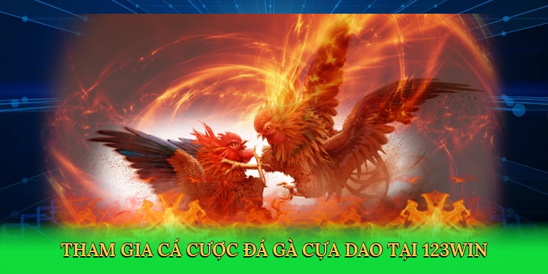 Tham gia cá cược đá gà cựa dao tại 123win