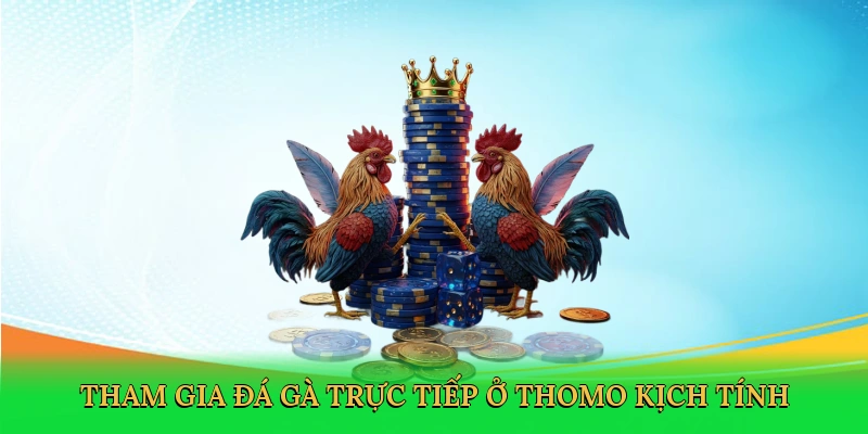 tham-gia-da-ga-truc-tiep-o-thomo-kich-tinh-2
