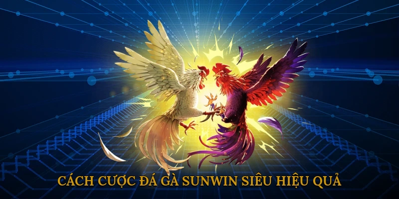 Cách cược đá gà SUNWIN siêu hiệu quả
