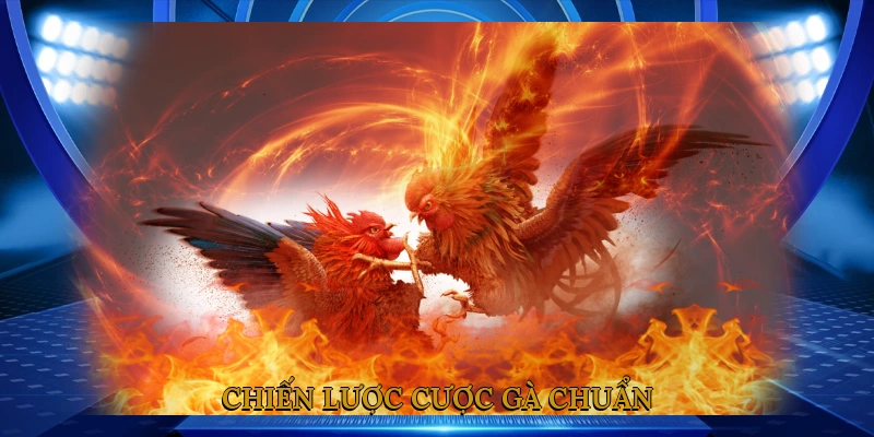 Chiến lược cược gà chuẩn