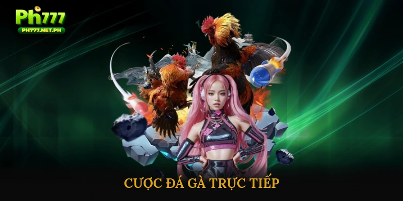cược đá gà trực tiếp