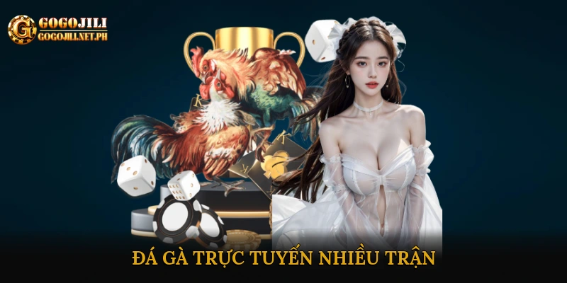 Đá gà trực tuyến nhiều trận