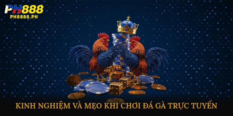 Kinh nghiệm và mẹo khi chơi đá gà trực tuyến