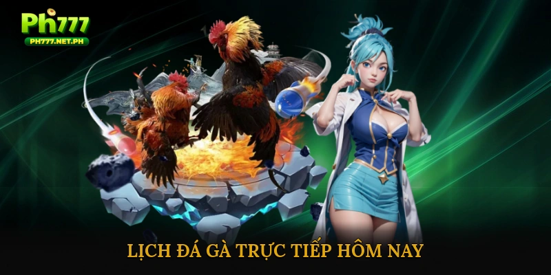 Lịch đá gà trực tiếp hôm nay