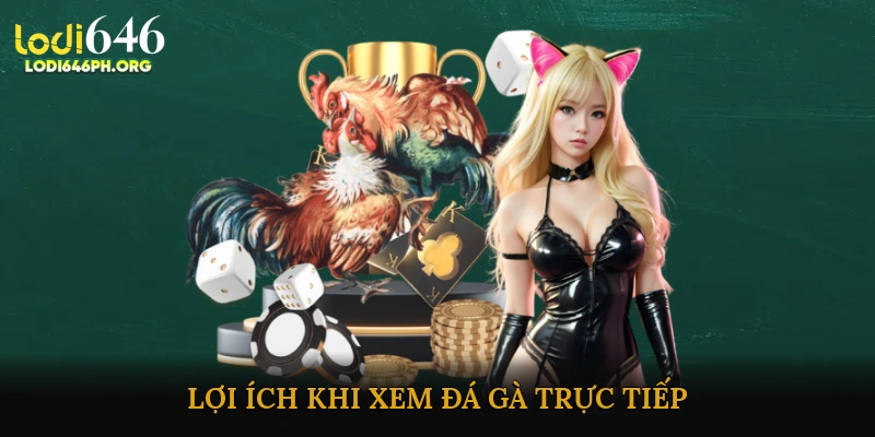 Lợi Ích Khi Xem Đá Gà Trực Tiếp
