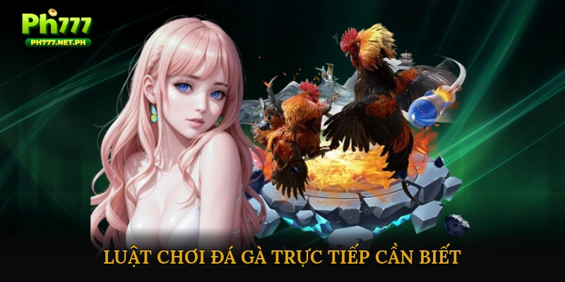 Luật chơi đá gà trực tiếp cần biết