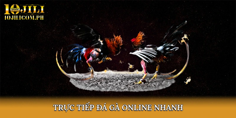 trực tiếp đá gà online