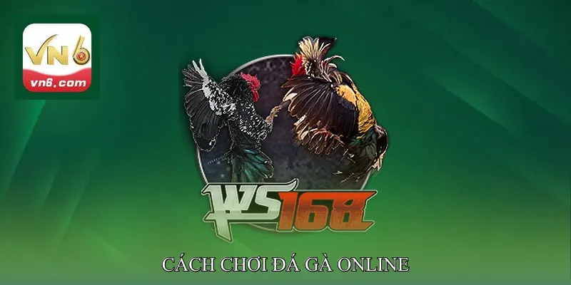 Cách Chơi Đá Gà Online