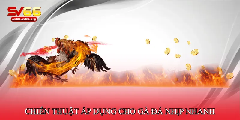 Chiến thuật áp dụng cho gà đá nhịp nhanh