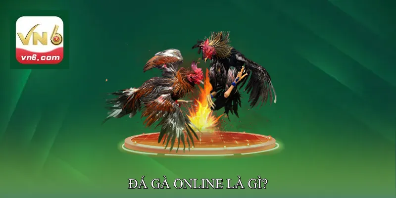 Đá Gà Online Là Gì?