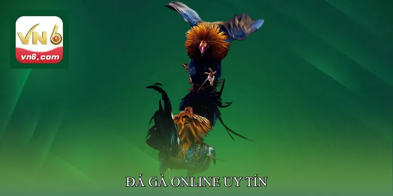 Đá gà online uy tín