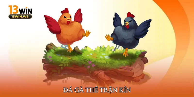 Đá gà thế trận kín