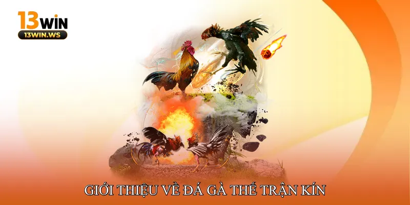 Giới thiệu về đá gà thế trận kín