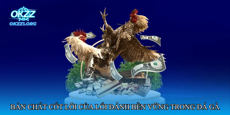Bản chất cốt lõi của lối đánh bền vững trong đá gà hiện đại