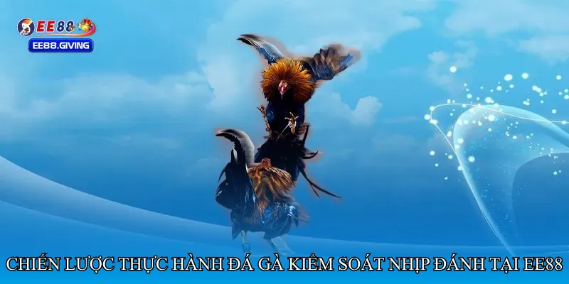 Chiến lược thực hành Đá gà kiểm soát nhịp đánh tại EE88