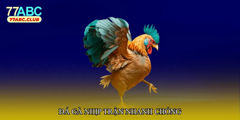 Đá gà nhịp trận nhanh chóng