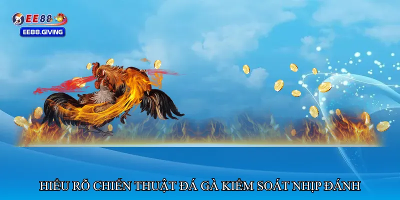 Hiểu rõ chiến thuật Đá gà kiểm soát nhịp đánh