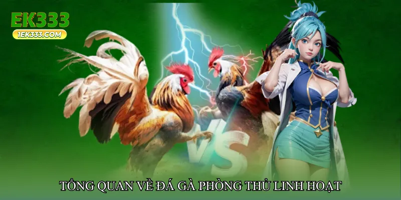 Tổng quan về Đá gà phòng thủ linh hoạt